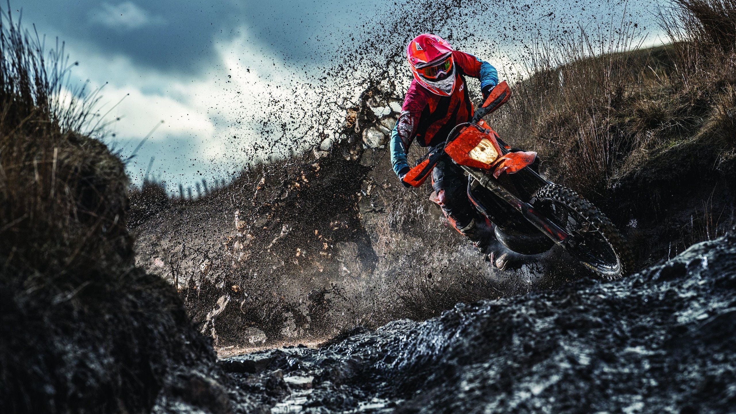 墨尔本联年轻阵容潜力巨大，墨尔本球星